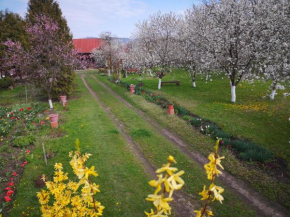 Casa Livada Bunicii